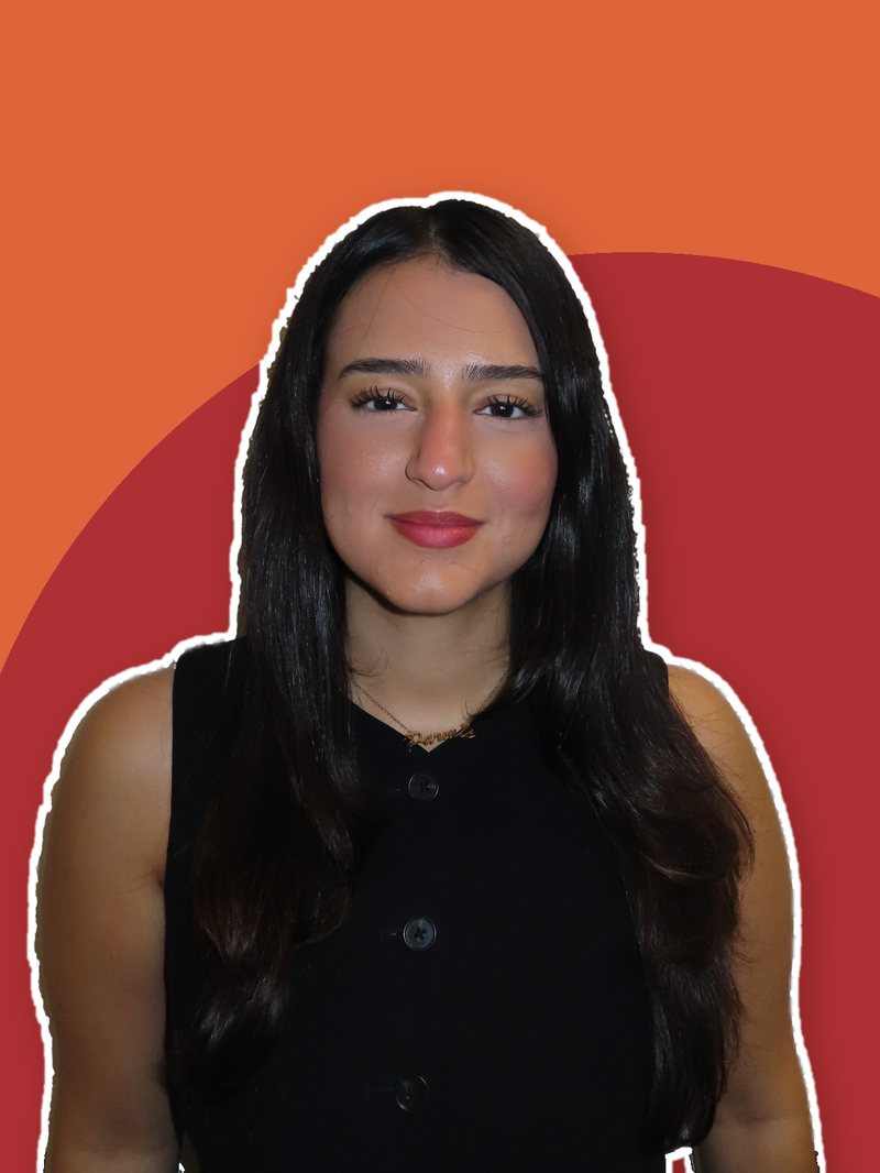 Parmis R., Junior Sales Lead at Boomerang
